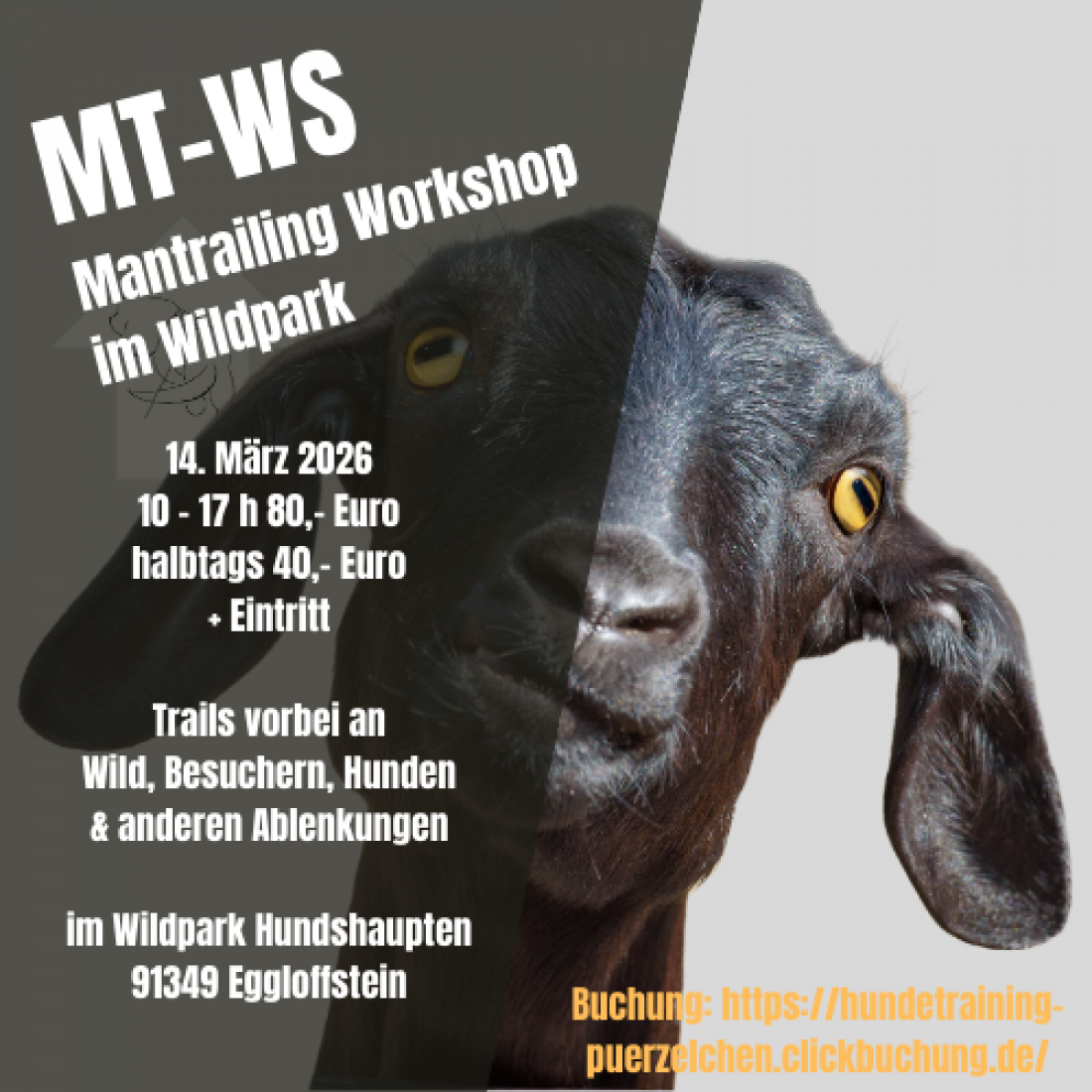 Mantrailing Workshop Wildpark