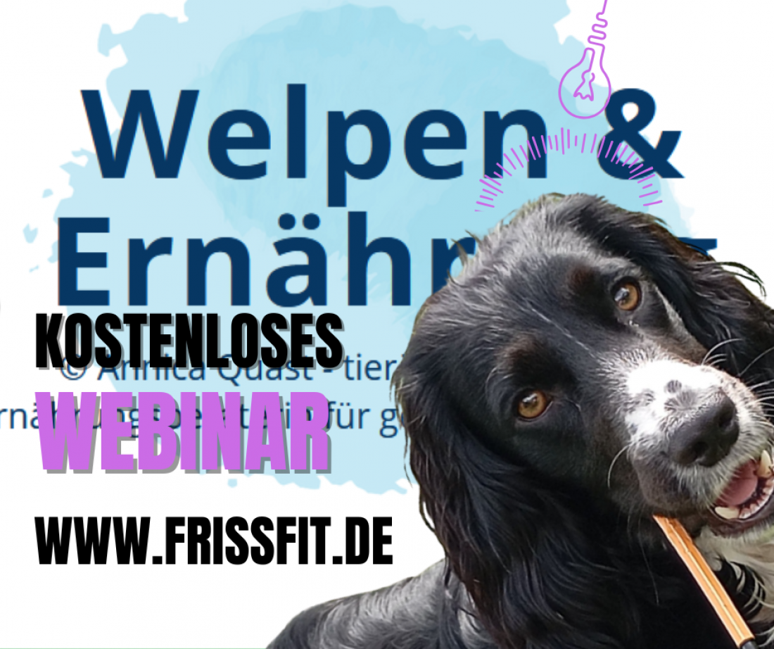 Webinar Welpenernährung