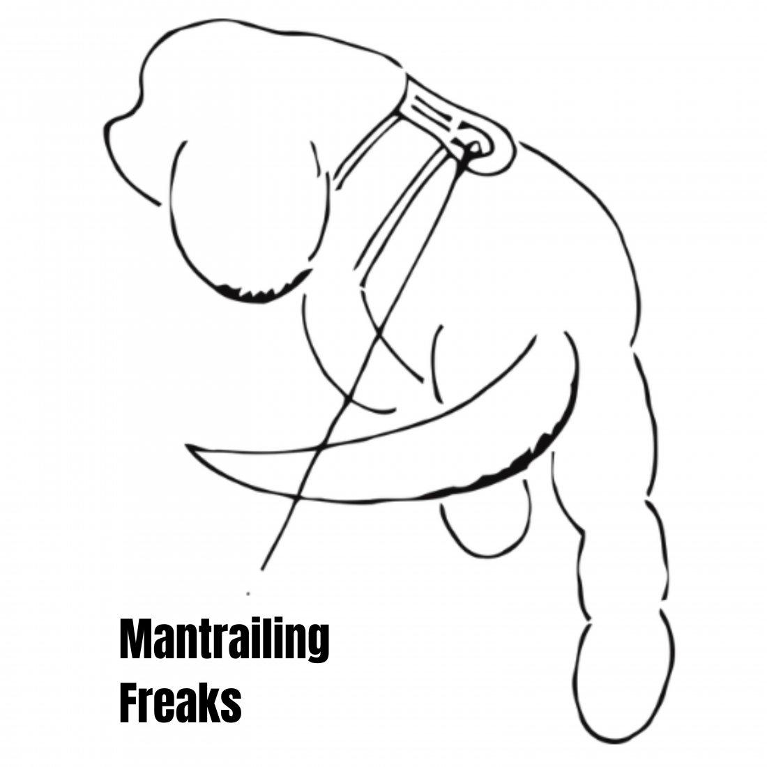 Mantrailing - offenes Training