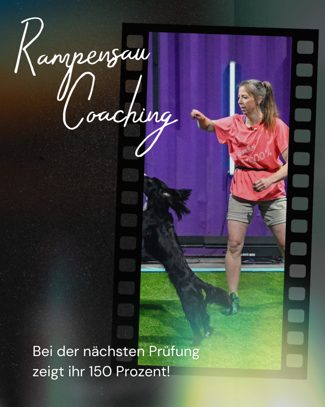 Rampensau Coaching